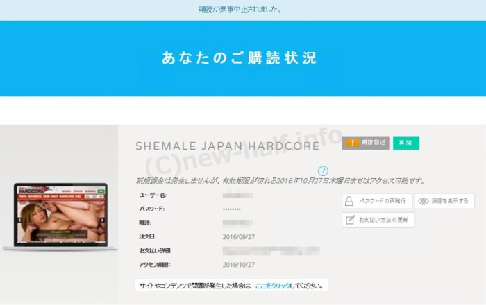 TGirlJapanHardcore eB[K[Wpn[hRA j[n[tC މ@